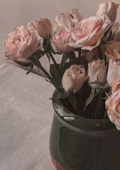 作品一覧