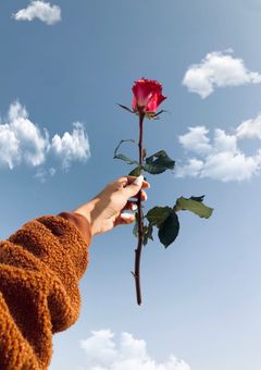 どうか消化不良は起きないで