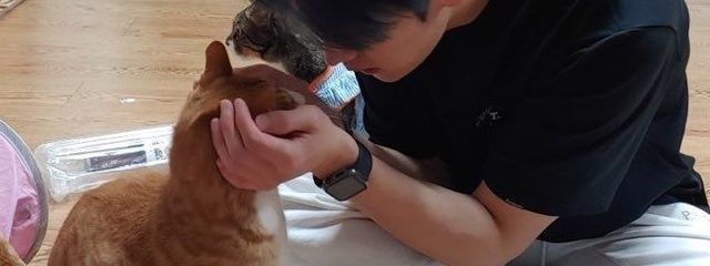 主様さんの壁紙画像