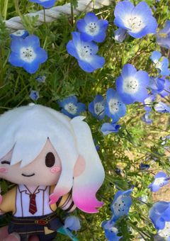 　peak　成長記録👶🍼💞