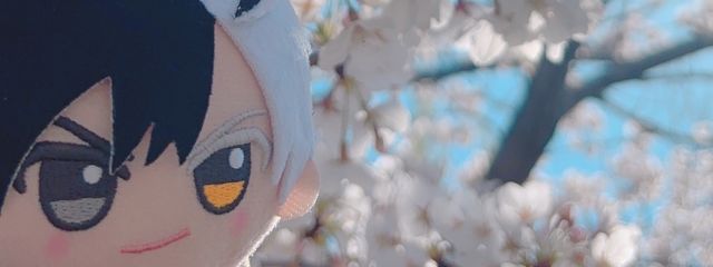 幻中@𝚖𝚊𝚖𝚘𝚗𝚊𝚔𝚊さんの壁紙画像