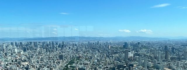 琴葉🌱さんの壁紙画像