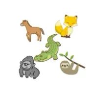美優🐊🐈‍⬛💜さんのアイコン画像
