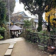 lostさんのアイコン画像