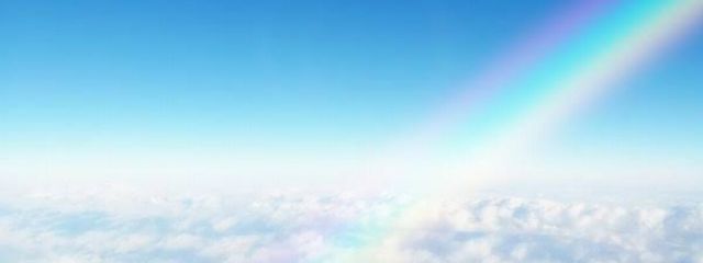 心音さんの壁紙画像