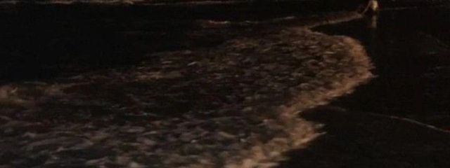 　𝟐𝟑さんの壁紙画像