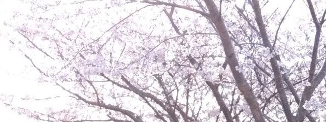 甘 寧　さんの壁紙画像