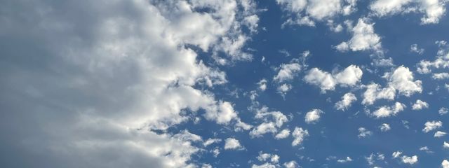 かさんの壁紙画像