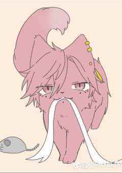 くろねこ、さん専用部屋〜！