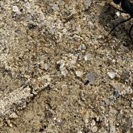 外壁ロッククロック🔐🕰️さんのアイコン画像