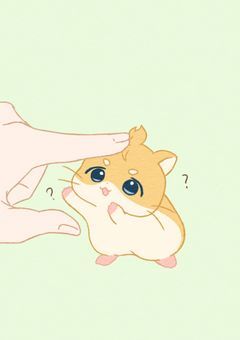 私の主人は花垣武道です