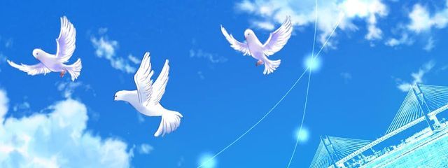 　小鳥遊 ＠ 🕊‎　さんの壁紙画像