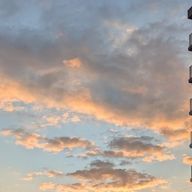 まめさんのアイコン画像