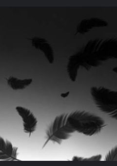 ニューダーリン