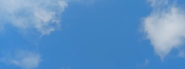 ゆゆゆさんの壁紙画像