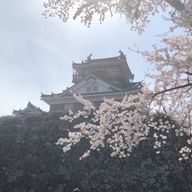 ゆうぴーさんのアイコン画像