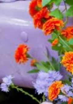 　Flower  