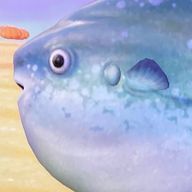 もちもち🍙さんのアイコン画像