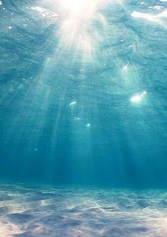 もうほっといて？