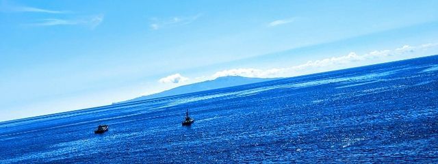 しらすさんの壁紙画像