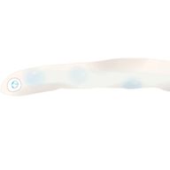 しらすさんのアイコン画像