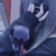 転 生 し ま し た 、元 三 日 月 。さんのアイコン画像