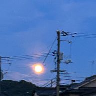 @メンターム薬用スティックさんのアイコン画像