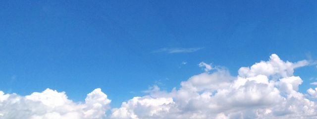 森咲 凛斗./ふぉろばさんの壁紙画像