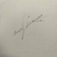 青岸　むすび　さんのアイコン画像