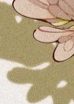 花を貰ったあの日から