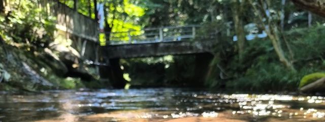 ありペさんの壁紙画像