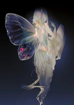 虫籠の蝶   【fur】