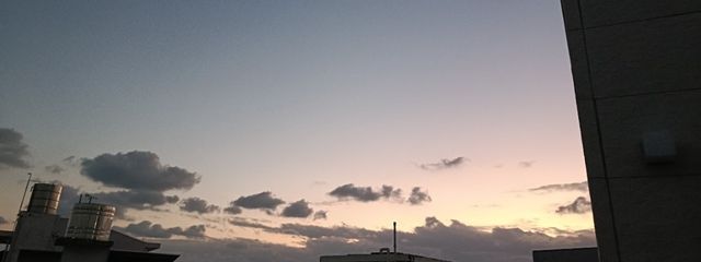 かなえ～るさんの壁紙画像