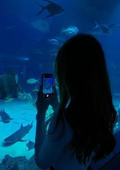 ‌　‌　‌　‌　‌　友達 募集 