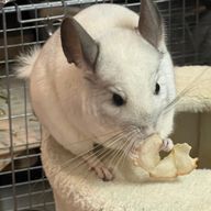 ゆいさんのアイコン画像