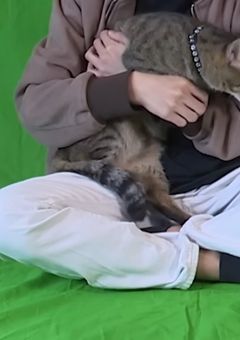 Qk短編