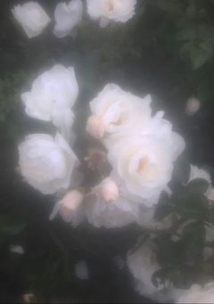 　眠る時にあなたの声を