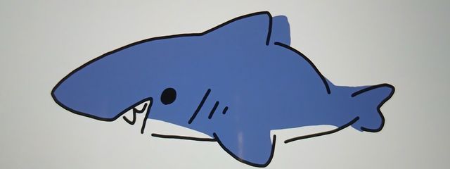 サメくんさんの壁紙画像