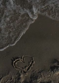 君に溺れて、そして堕ちる 。