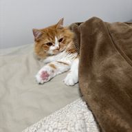 もち麦まろんさんのアイコン画像