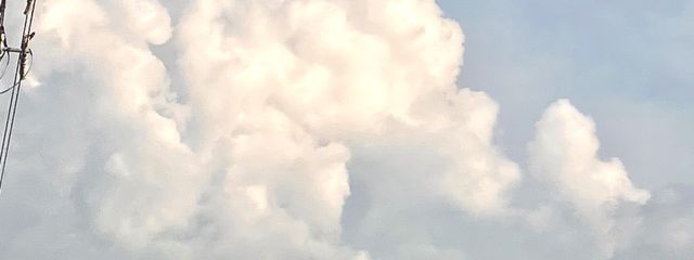 零さんの壁紙画像