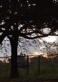 ヨコハマ不文律制作所