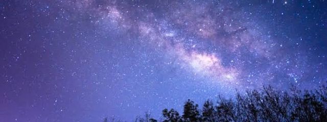 ナッツさんの壁紙画像