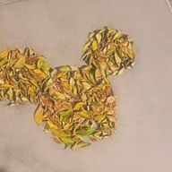 たまさんのアイコン画像