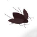 (なまえ)