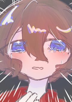 片翼の天ノ使い(br総受け)