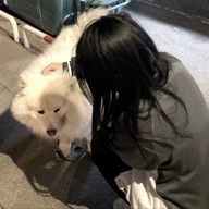 青天目　すみれさんのアイコン画像