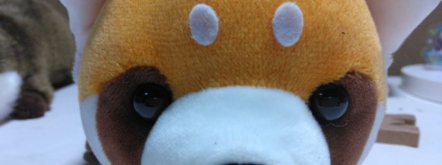 カワウソさんの壁紙画像