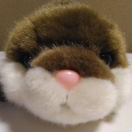 カワウソさんのアイコン画像