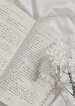  おともだち ぼしゅ ｰ . ꒷꒦